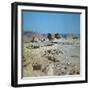 Remains of Herod's palace, 1st century-Unknown-Framed Photographic Print