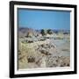 Remains of Herod's palace, 1st century-Unknown-Framed Photographic Print