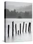 Remains of Jetty in the Mist, Derwentwater, Cumbria, England, UK-Nadia Isakova-Stretched Canvas