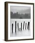 Remains of Jetty in the Mist, Derwentwater, Cumbria, England, UK-Nadia Isakova-Framed Photographic Print