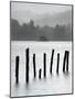 Remains of Jetty in the Mist, Derwentwater, Cumbria, England, UK-Nadia Isakova-Mounted Photographic Print