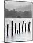 Remains of Jetty in the Mist, Derwentwater, Cumbria, England, UK-Nadia Isakova-Mounted Photographic Print