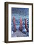 Remains of old sea defences emerge from shingle and pebbles, England-Andrew Wheatley-Framed Photographic Print