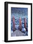 Remains of old sea defences emerge from shingle and pebbles, England-Andrew Wheatley-Framed Photographic Print