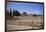 Remains of Roman Villas, Carthage, Unesco World Heritage Site, Tunisia, North Africa, Africa-Nelly Boyd-Framed Photographic Print