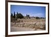 Remains of Roman Villas, Carthage, Unesco World Heritage Site, Tunisia, North Africa, Africa-Nelly Boyd-Framed Photographic Print