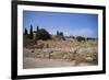 Remains of Roman Villas, Carthage, Unesco World Heritage Site, Tunisia, North Africa, Africa-Nelly Boyd-Framed Photographic Print