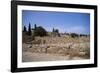 Remains of Roman Villas, Carthage, Unesco World Heritage Site, Tunisia, North Africa, Africa-Nelly Boyd-Framed Photographic Print