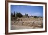 Remains of Roman Villas, Carthage, Unesco World Heritage Site, Tunisia, North Africa, Africa-Nelly Boyd-Framed Photographic Print