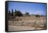 Remains of Roman Villas, Carthage, Unesco World Heritage Site, Tunisia, North Africa, Africa-Nelly Boyd-Framed Stretched Canvas