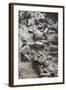 Remains of Terracotta Soldiers-null-Framed Photographic Print