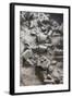 Remains of Terracotta Soldiers-null-Framed Photographic Print