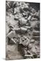 Remains of Terracotta Soldiers-null-Mounted Photographic Print