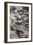 Remains of Terracotta Soldiers-null-Framed Photographic Print