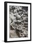 Remains of Terracotta Soldiers-null-Framed Photographic Print