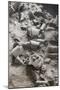 Remains of Terracotta Soldiers-null-Mounted Photographic Print
