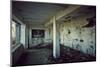 Remains of the interior of a kitchen of a bunker on a mountain in a wood in winter in Alsace-Axel Killian-Mounted Photographic Print