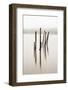 Remains of the old jetty, Derwentwater, Cumbria, UK-Nadia Isakova-Framed Photographic Print