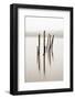 Remains of the old jetty, Derwentwater, Cumbria, UK-Nadia Isakova-Framed Photographic Print