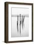 Remains of the old jetty, Derwentwater, Cumbria, UK-Nadia Isakova-Framed Photographic Print