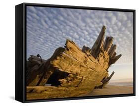 Remains of the Shipwrecked Fishing Boat, Skeleton Coast Wilderness, Namibia-Paul Souders-Framed Stretched Canvas