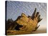 Remains of the Shipwrecked Fishing Boat, Skeleton Coast Wilderness, Namibia-Paul Souders-Stretched Canvas