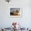 Remains of the Shipwrecked Fishing Boat, Skeleton Coast Wilderness, Namibia-Paul Souders-Framed Photographic Print displayed on a wall