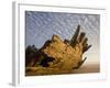 Remains of the Shipwrecked Fishing Boat, Skeleton Coast Wilderness, Namibia-Paul Souders-Framed Photographic Print