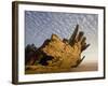 Remains of the Shipwrecked Fishing Boat, Skeleton Coast Wilderness, Namibia-Paul Souders-Framed Photographic Print