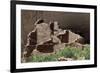 Remains of White House-null-Framed Giclee Print