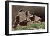 Remains of White House-null-Framed Giclee Print