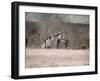 Remains of Winter-Jai Johnson-Framed Giclee Print