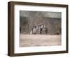 Remains of Winter-Jai Johnson-Framed Giclee Print