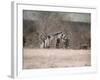 Remains of Winter-Jai Johnson-Framed Giclee Print