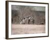 Remains of Winter-Jai Johnson-Framed Giclee Print