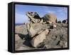 Remarkable Rocks, Flinders Chase National Park, Kangaroo Island, South Australia, Australia-Neale Clarke-Framed Stretched Canvas