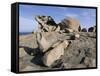 Remarkable Rocks, Flinders Chase National Park, Kangaroo Island, South Australia, Australia-Neale Clarke-Framed Stretched Canvas