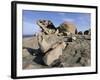 Remarkable Rocks, Flinders Chase National Park, Kangaroo Island, South Australia, Australia-Neale Clarke-Framed Photographic Print