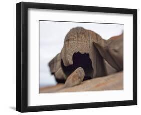 Remarkable Rocks formation in Flinders Chase National Park-Paul Souders-Framed Photographic Print