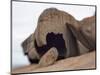 Remarkable Rocks formation in Flinders Chase National Park-Paul Souders-Mounted Photographic Print