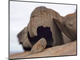 Remarkable Rocks formation in Flinders Chase National Park-Paul Souders-Mounted Photographic Print