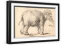 Black Frame