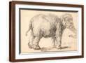 Brown Frame