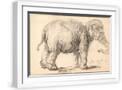 White Frame