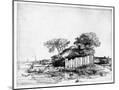 Wood Mount