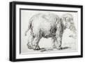 Black Frame
