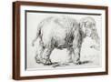 Brown Frame
