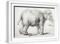 White Frame