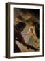 Brown Frame