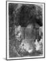 Wood Mount